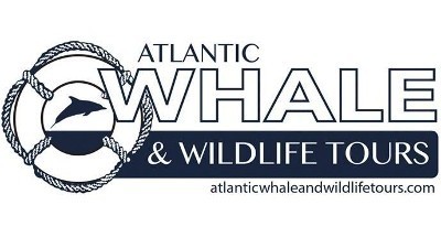 Atlantic Whale & Wildlife Tours